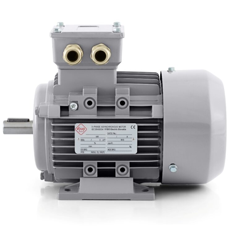 Elektromotor 0,55 kW 2-polig 400V 1AL Auf Lager